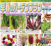 ��դΥ����ǥ�ץ��